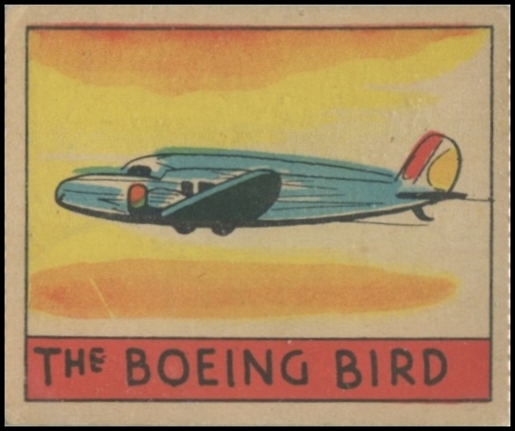 The Boeing Bird
